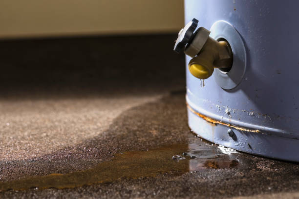 Best Mold removal after water damage  in Discovery Harbour, HI