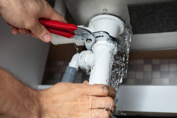 Best Water damage contractors near me  in Discovery Harbour, HI