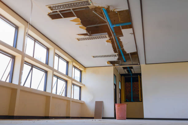 Best Professional water damage repair  in Discovery Harbour, HI