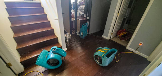 Water damage restoration process in Discovery Harbour, HI
