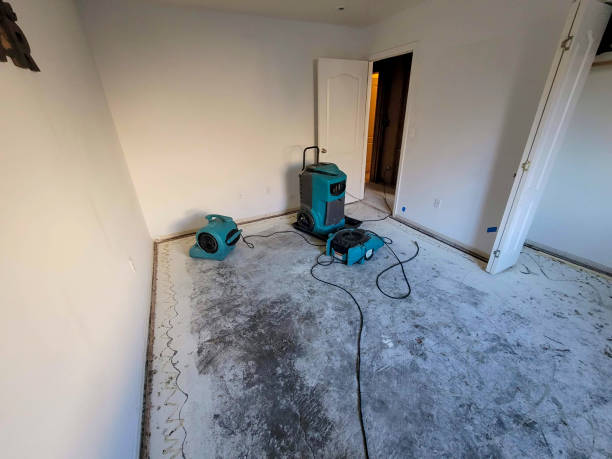 Best Local water damage restoration  in Discovery Harbour, HI