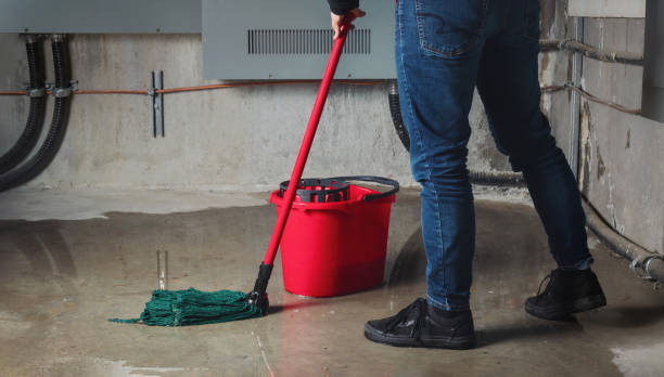 Carpet water damage restoration in Discovery Harbour, HI
