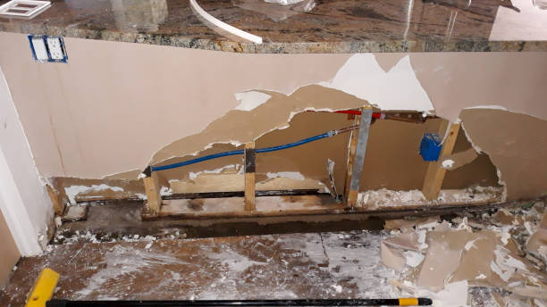 Best Mold removal after water damage  in Discovery Harbour, HI