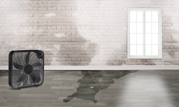 Best Emergency water damage restoration  in Discovery Harbour, HI