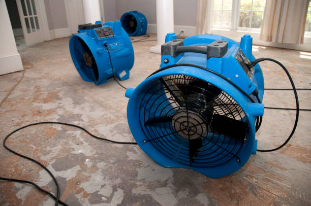  Discovery Harbour, HI Water damage restoration Pros