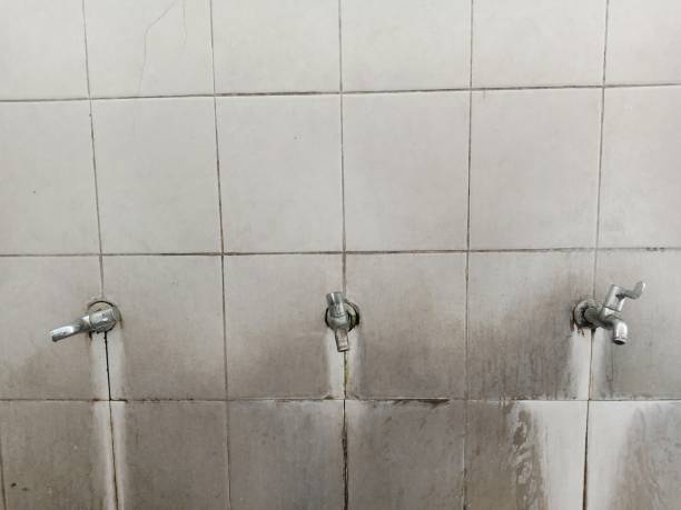 Best Flood damage cleanup  in Discovery Harbour, HI
