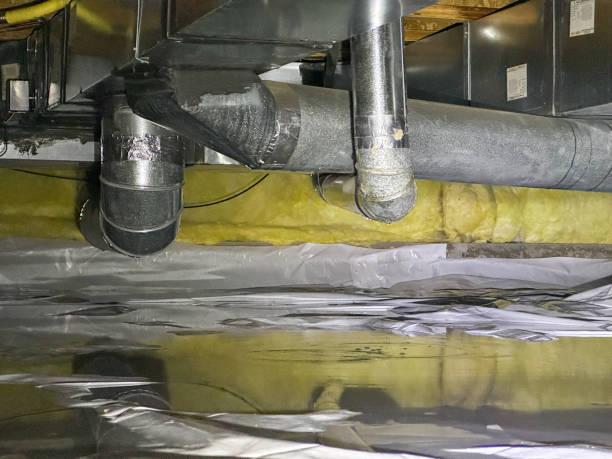 Best Local water damage restoration  in Discovery Harbour, HI