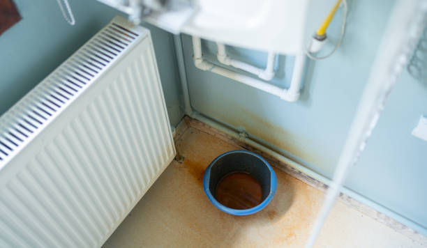 Best Fire Damage Restoration  in Discovery Harbour, HI