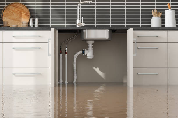 Best Carpet water damage restoration  in Discovery Harbour, HI