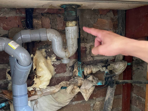 Best Water damage cleanup near me  in Discovery Harbour, HI