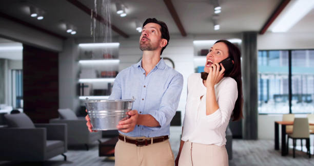 Best Carpet water damage restoration  in Discovery Harbour, HI