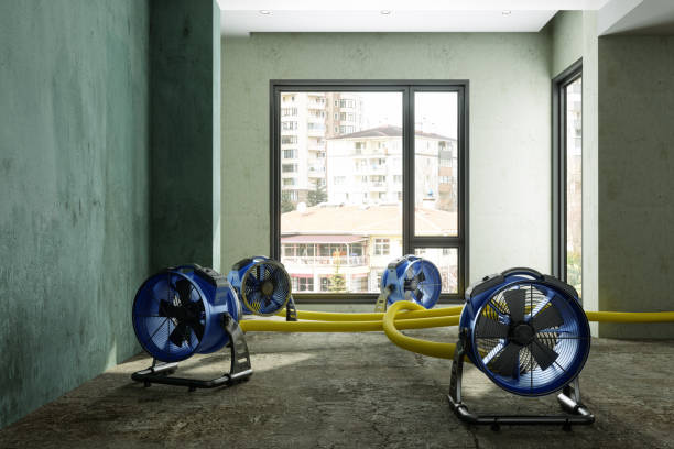 Reliable Discovery Harbour, HI Water damage restoration Solutions
